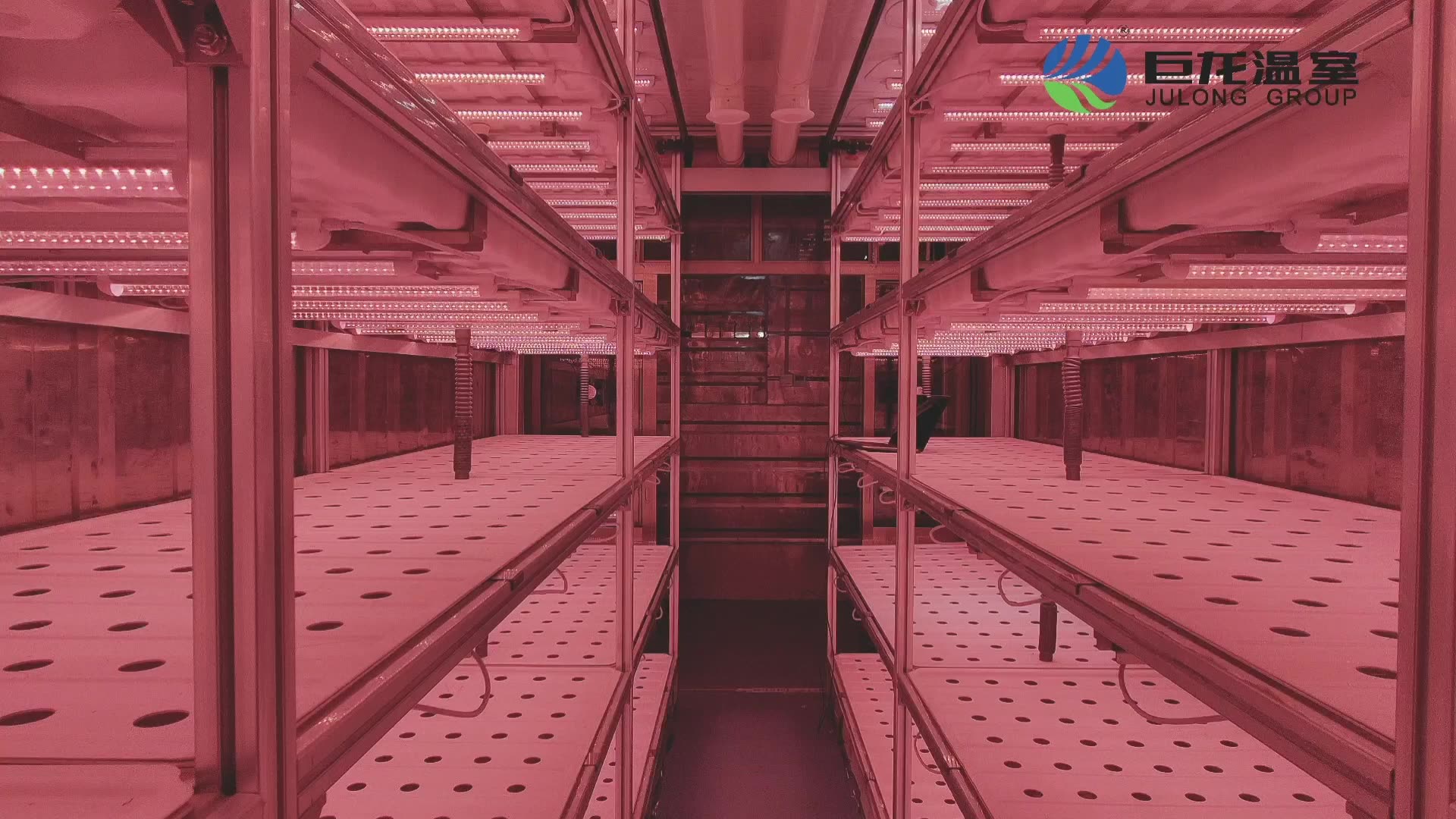 40ft Shipping Container Greenhouse Mushroom Growing Greenhouse Smart