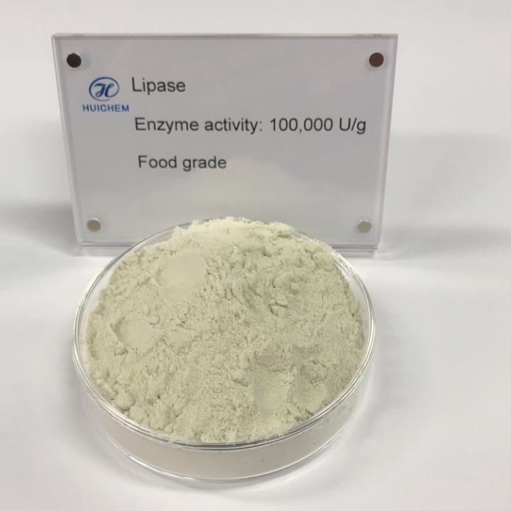 Iso Wholesale Food Grade Lipase Enzyme Powder Buy Lipase,Lipase