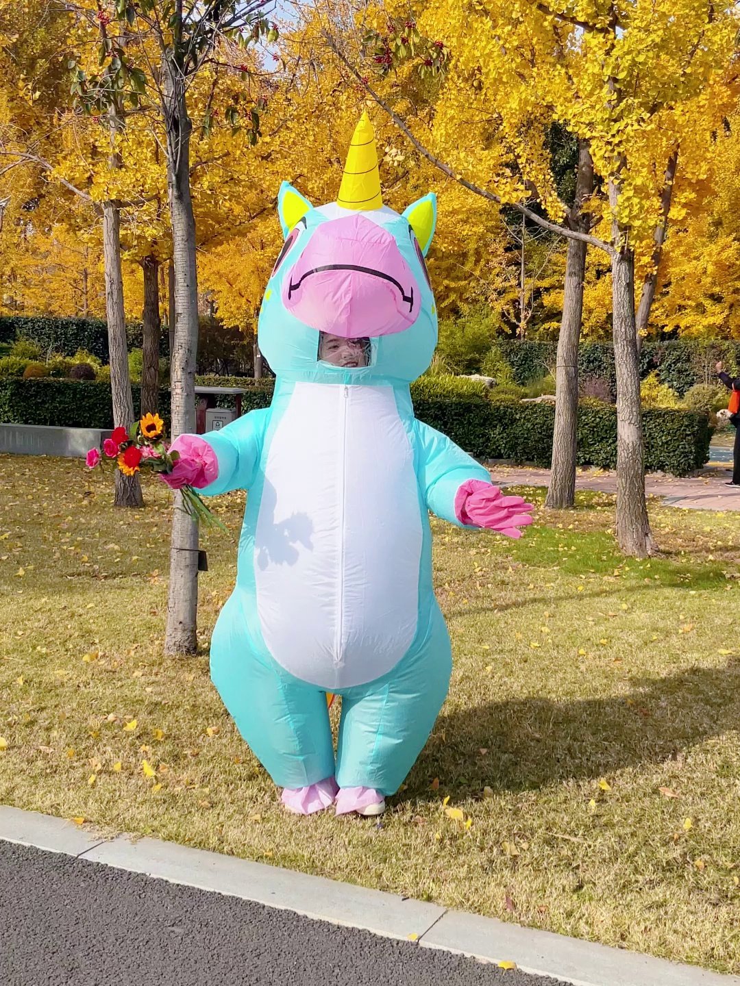 聚会装饰套装资讯_聚会装饰套装知识-淘宝游戏网, image size:1080x1440