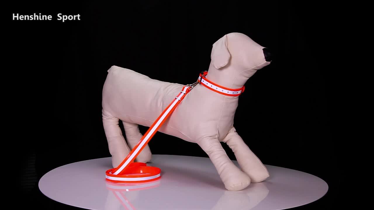 Personalized Reflective Tpu Coated Nylon Dog Leash,Silicone Waterproof