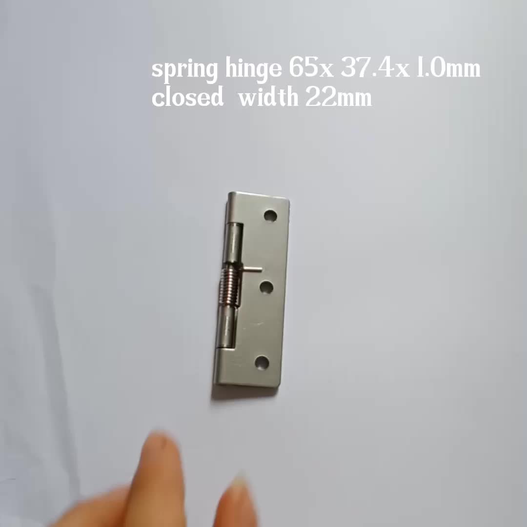 High Quality Industrial Spring Loaded Hinges For Door Buy