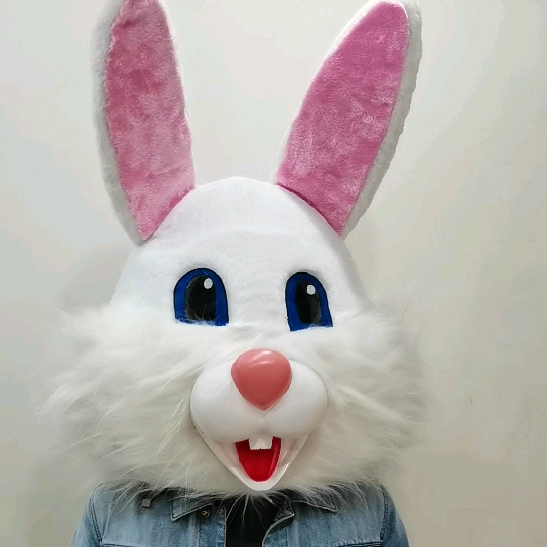 Hola Easter Bunny Mascot Costume/adult Rabbit Mascot Costume/costume