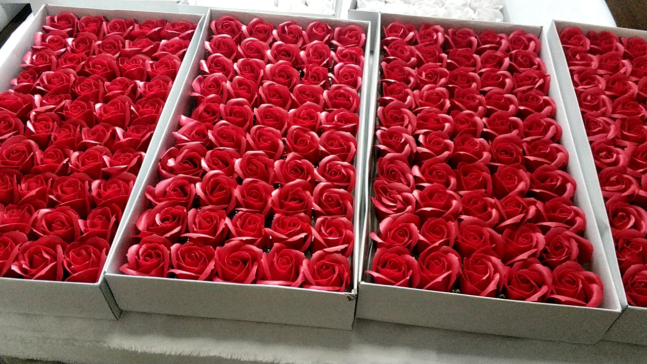Red roses showcase