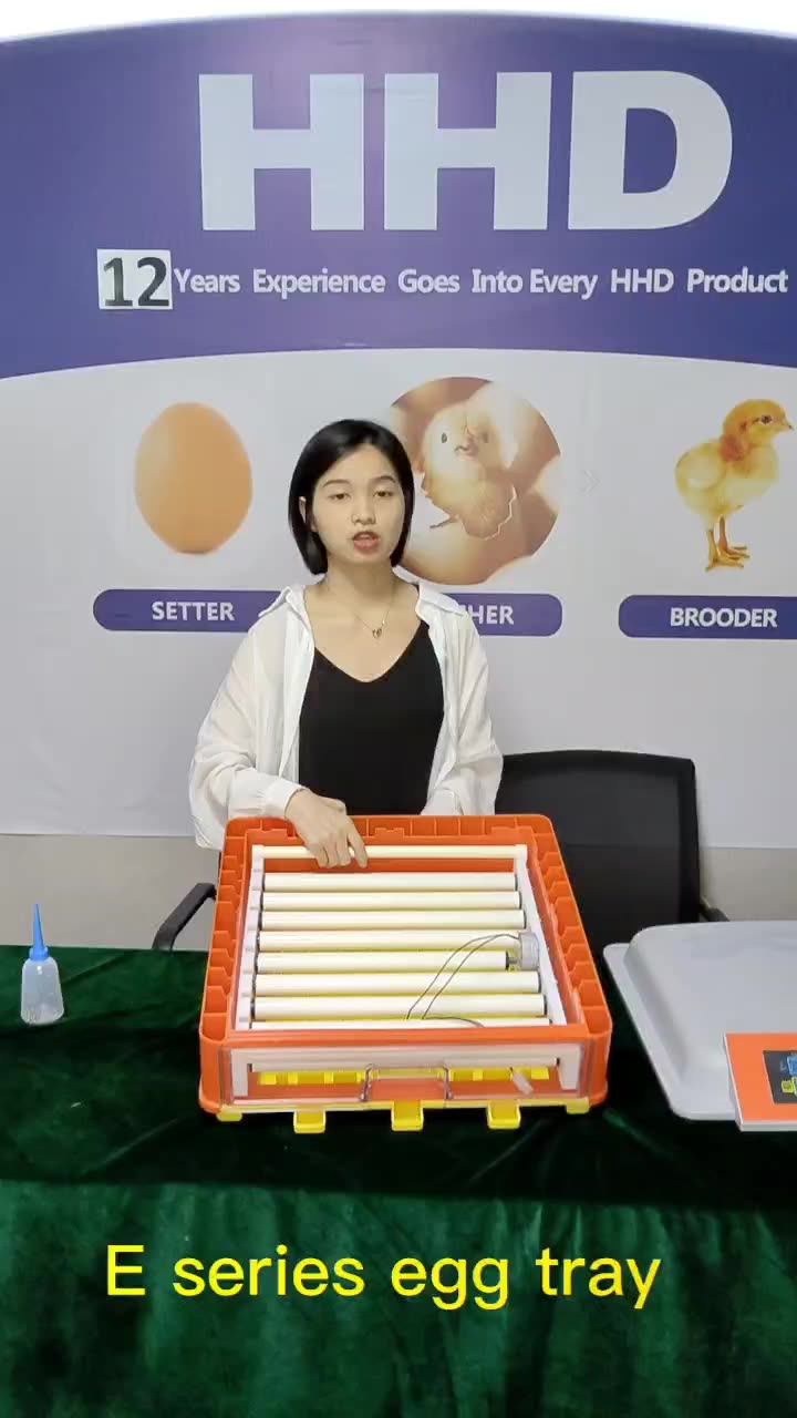 Hhd E184 Egg Fully Automatic Small Incubator And Hatcher Philippines Price Buy Incubator And