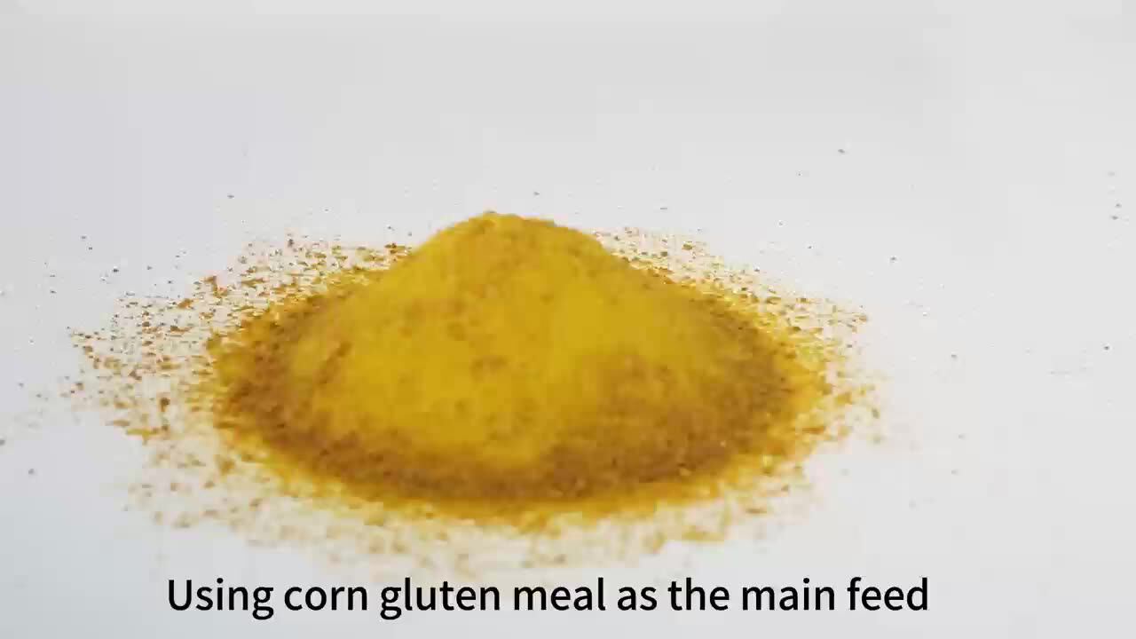 Yellow Corn Gluten Meal Poultry Feed 60 Protein Powder Fish Meal