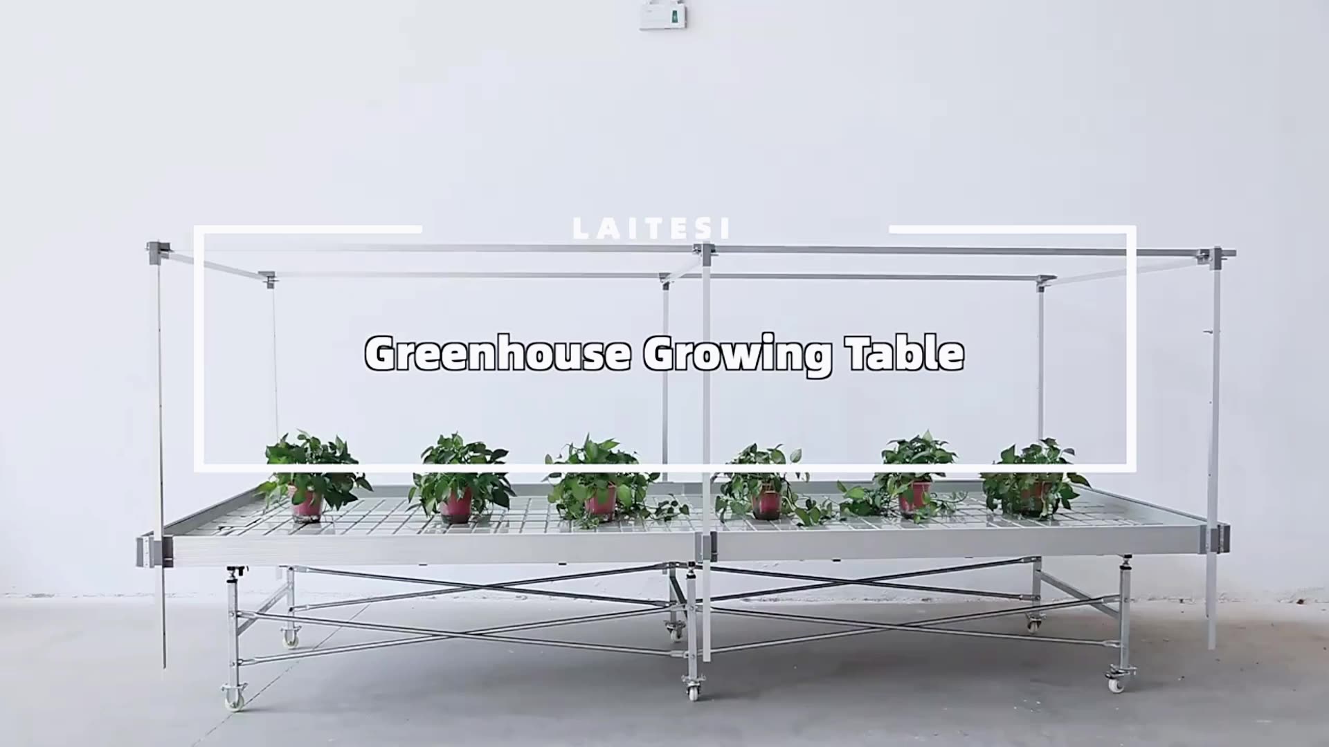 4x8 Complete Ebb And Flow Rolling Bench Hydroponic Grow Table Flood