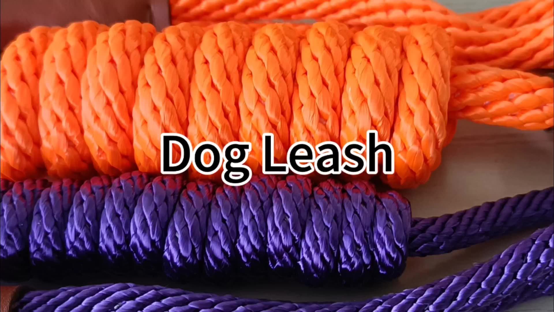 Kingtale Pet Supplies Dog Leash Rope Custom Dog Leash Dog Collars And