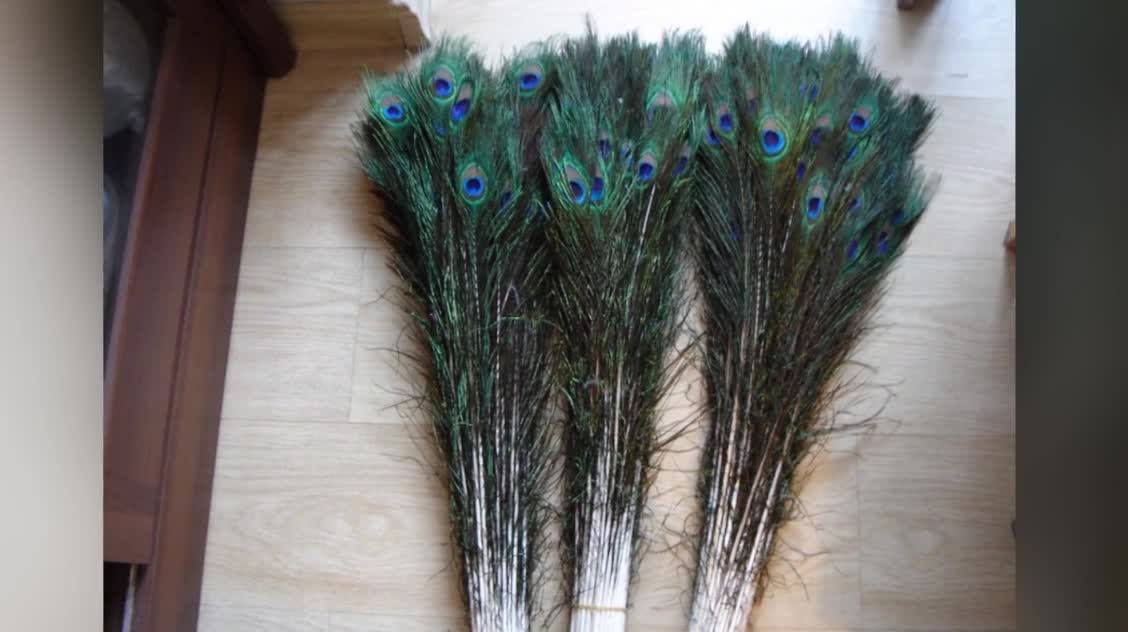 Lo282 Dyed Indian Peacock Feathers For Sale Buy Peacock Feathers
