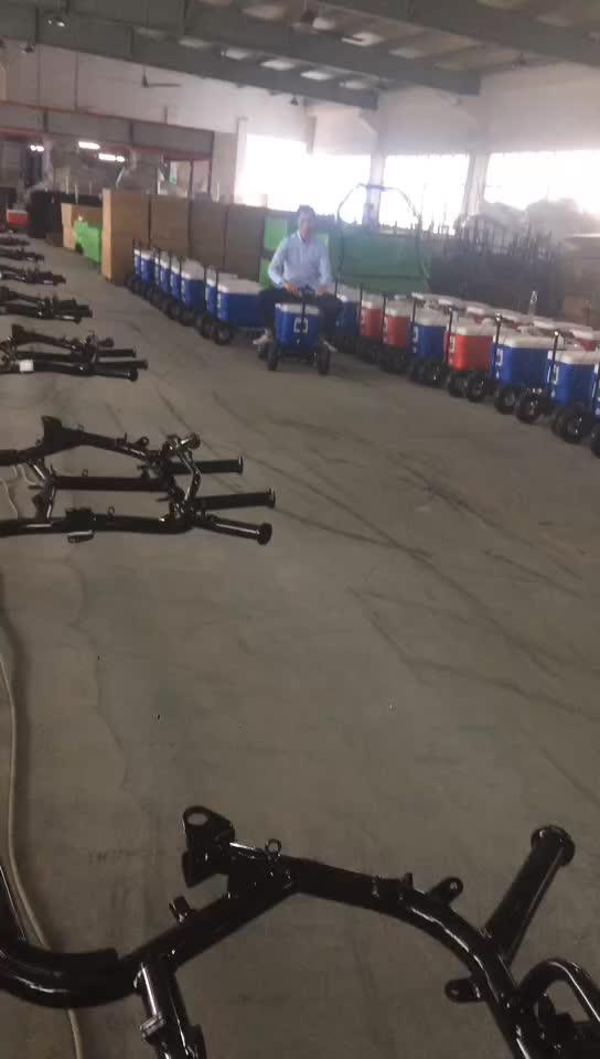 China Supplier Electric Ice Chest Cooler Scooter Buy Cooler Scooter