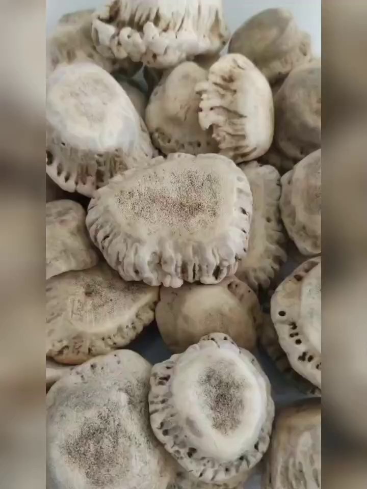 长春建设世界农产品加工基地易游娱乐城- YY易游体育官方网站- 易游体育APP