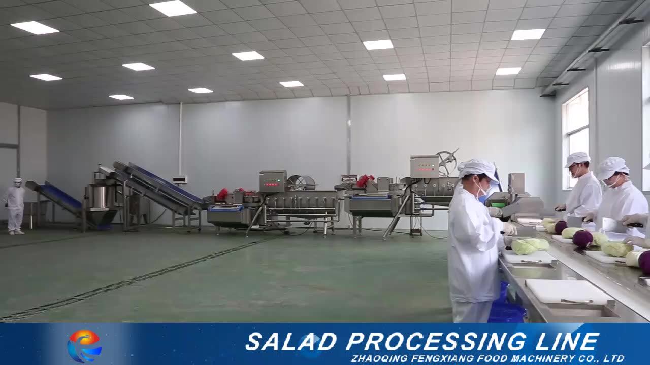 Automatic Vegetable & Fruit Cutting Washing Production Line,Salad