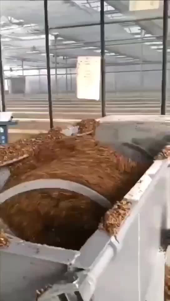 Mushroom Growing Cultivation Machine Equipment Oyster Mushroom Substrate Mixing Machine Buy