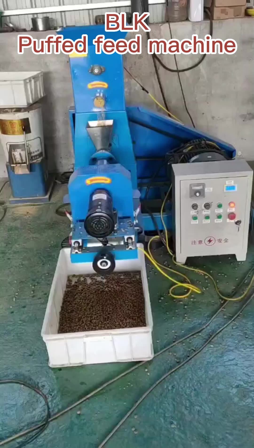 Blk60 12tph Chicken Feed Pellet Machine Complete Line 100kg/h Small Fish Feed Floating Pellet