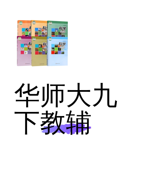 华师大九下教辅-淘宝逛一逛
