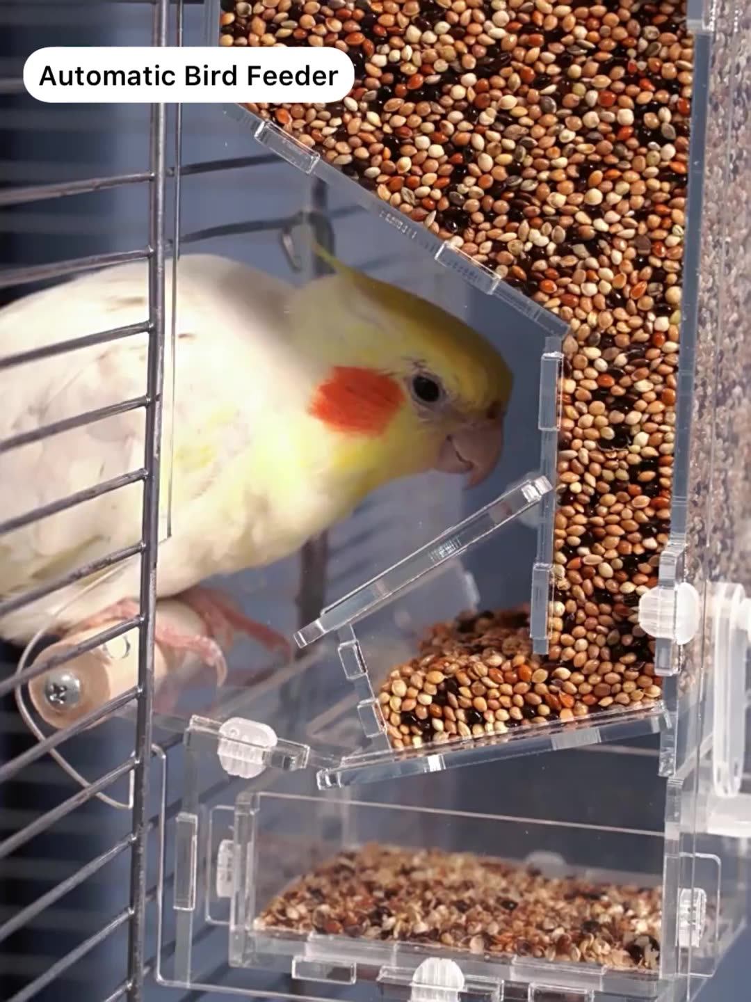 Minimalist Clear Acrylic Parrot Seed Food Feeder Dispenser Automatic Hanging Bird Feeder For
