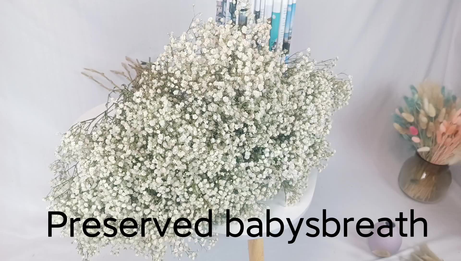 Preserved Flowers And Plants Babys Breath Dried Flowers Baby's Breath