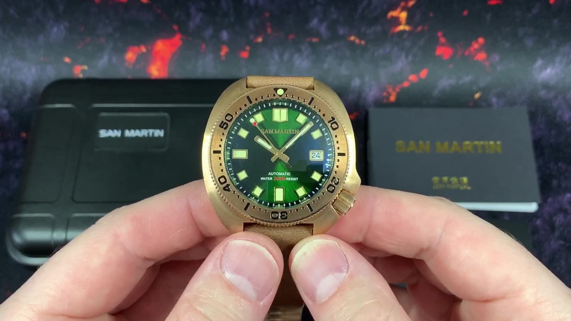 san martin bronze turtle 6105