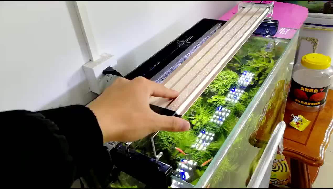 Ce Rohs Ip20 Led Aquarium Tank Lighting Led Aquarium Light Panel Buy