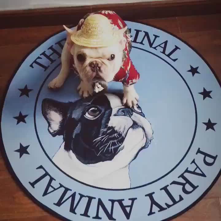 Cute Cartoon Pet Dog Anti Slip Mats Round Shape Four Seasons Soft Plush