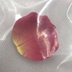Mẫu thử cánh hoa Laduli laduree của Nhật Bản mẫu thử một cánh hoa 02 màu hồng - Blush / Cochineal bảng má hồng Blush / Cochineal