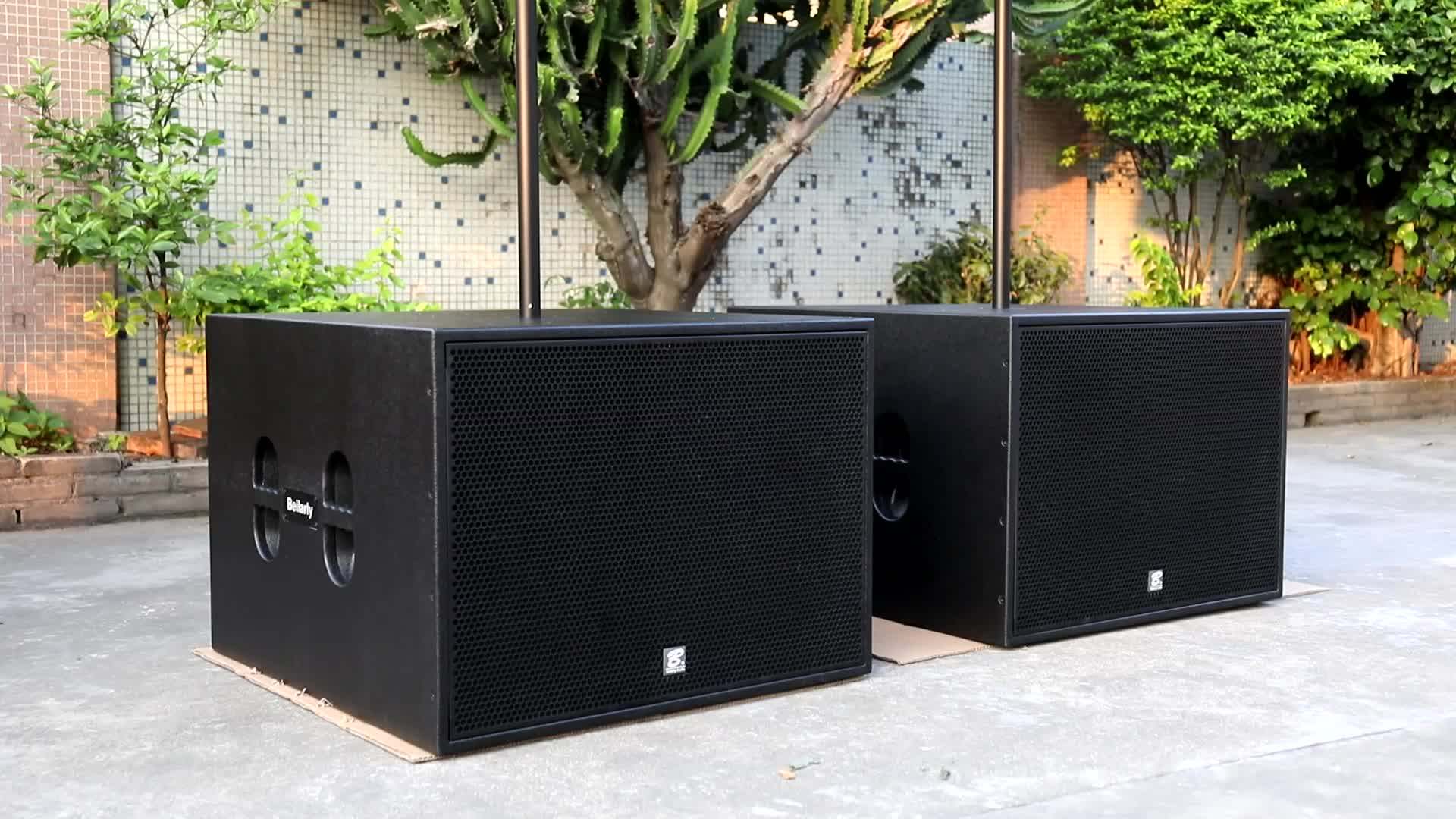 Pro Sound System Professional 12 Inch Line Array Active Buy Line