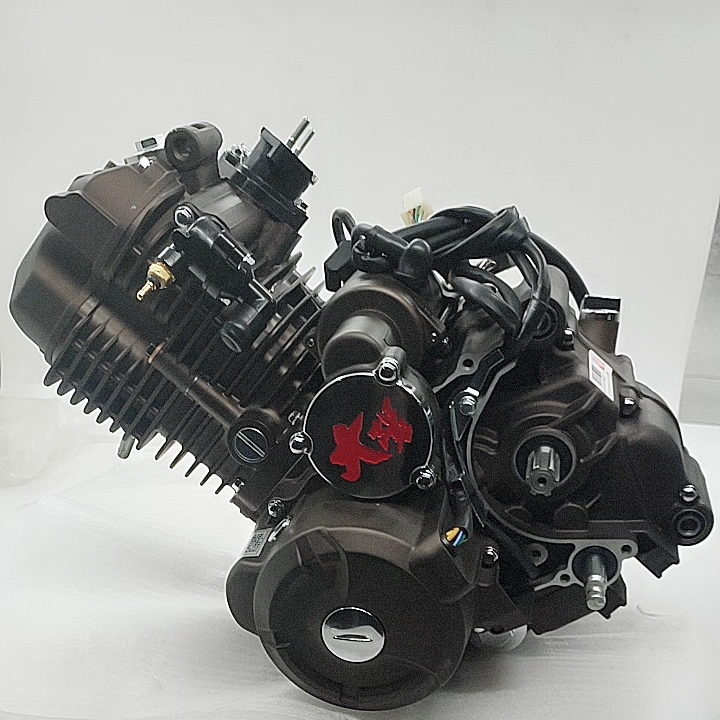 Dayang 250cc Super Cool Motorcycle Engine Single Cylinder 4 Stroke Style Max Power Origin Ccc