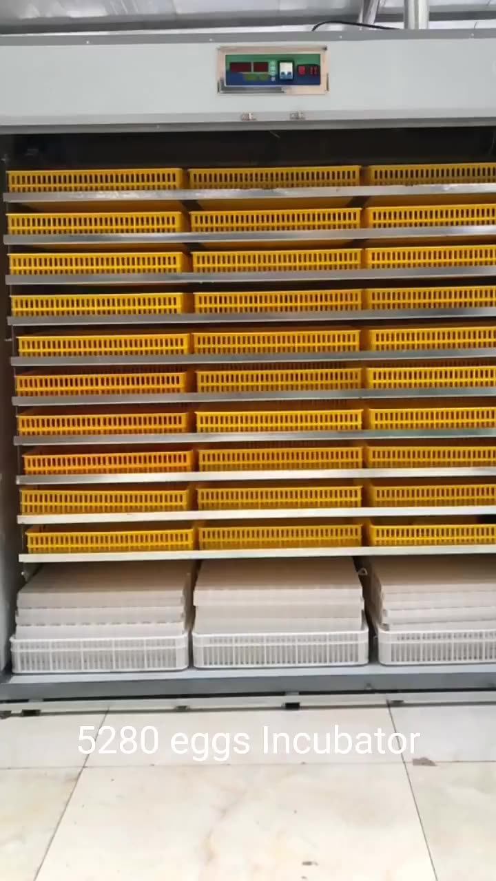 10565280 Egg Incubator/poultry Egg Incubator Incubator In Kerala For