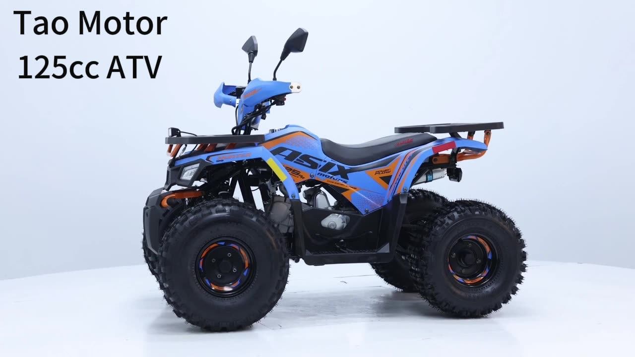 Tao Motor 2024 Offroad Farm Cheap Gas Powered Cuatrimoto Quadricycle