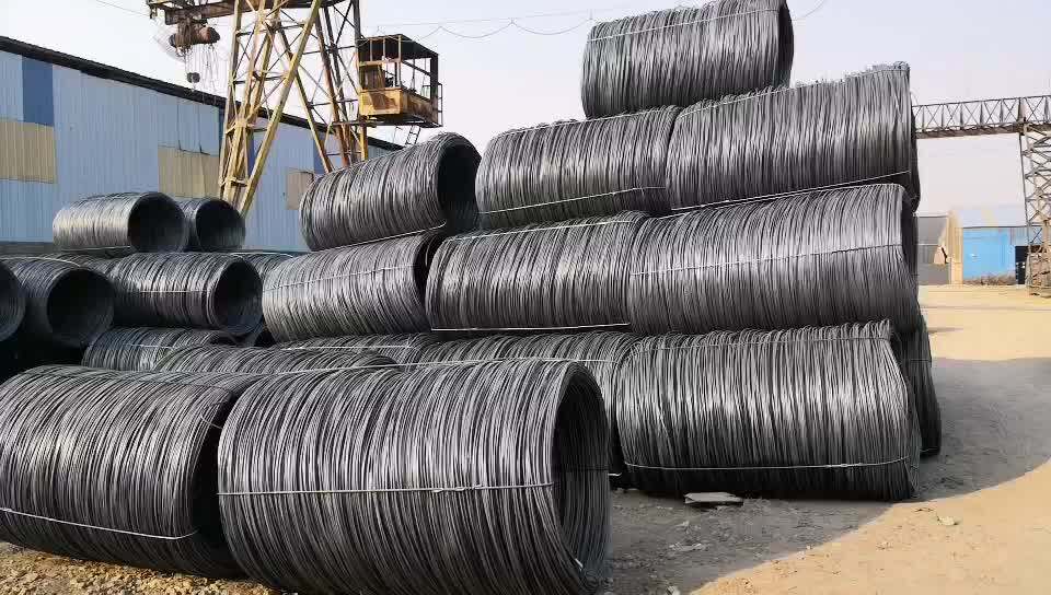Wire Rod High Carbon Steel Q195 Sae1006 Sae1008 5.5mm 6.5mm 8mm 10mm Ms Stainless Price Buy
