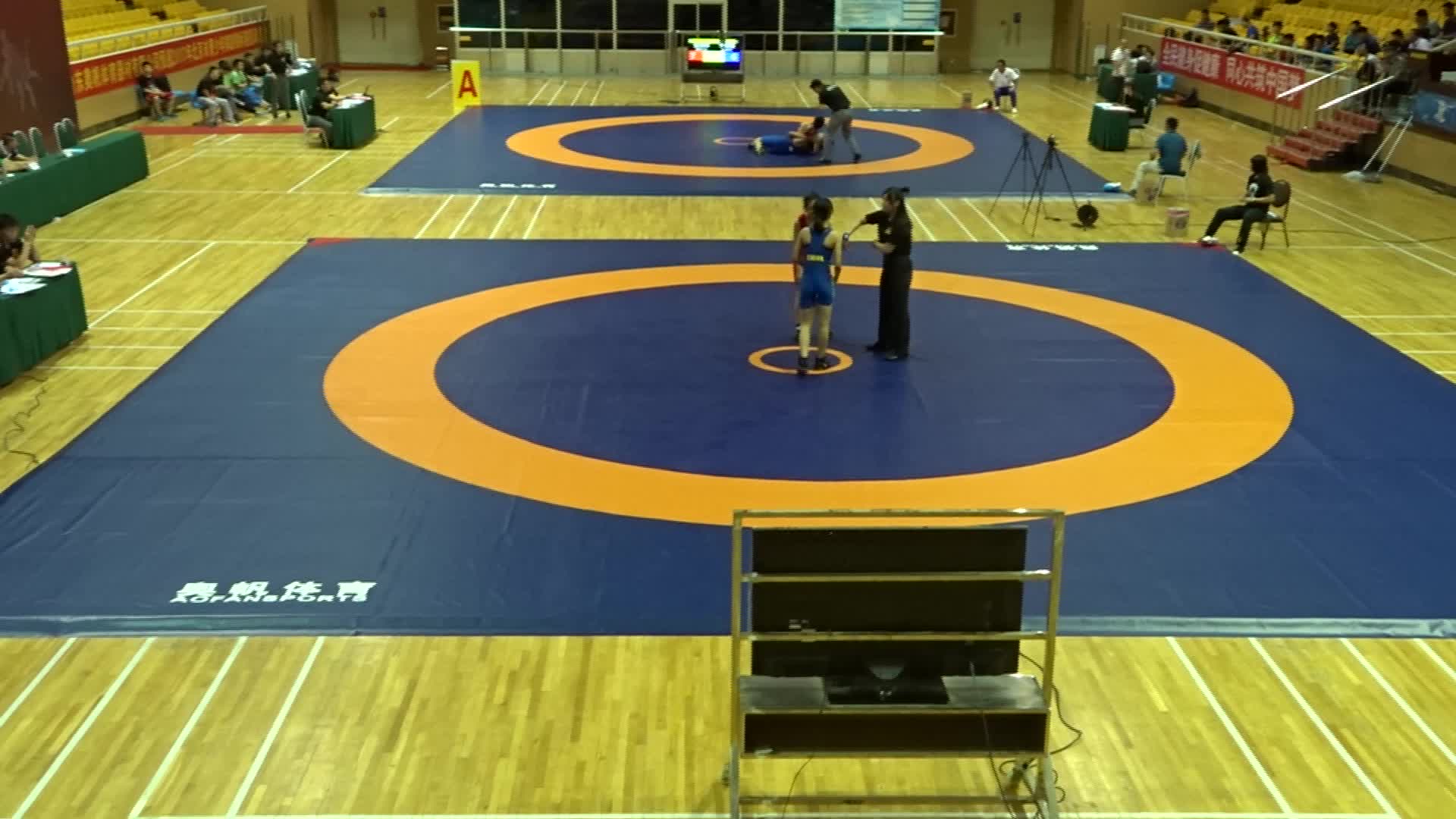 Wrestling mat