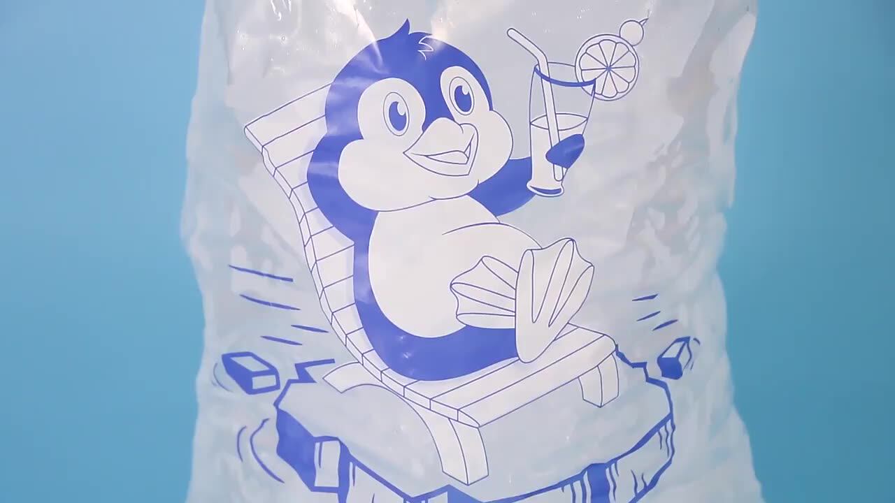 Wholesale 10lbs 20 Lbs Heavy Duty Commercial Grade Plastic Ice Bags