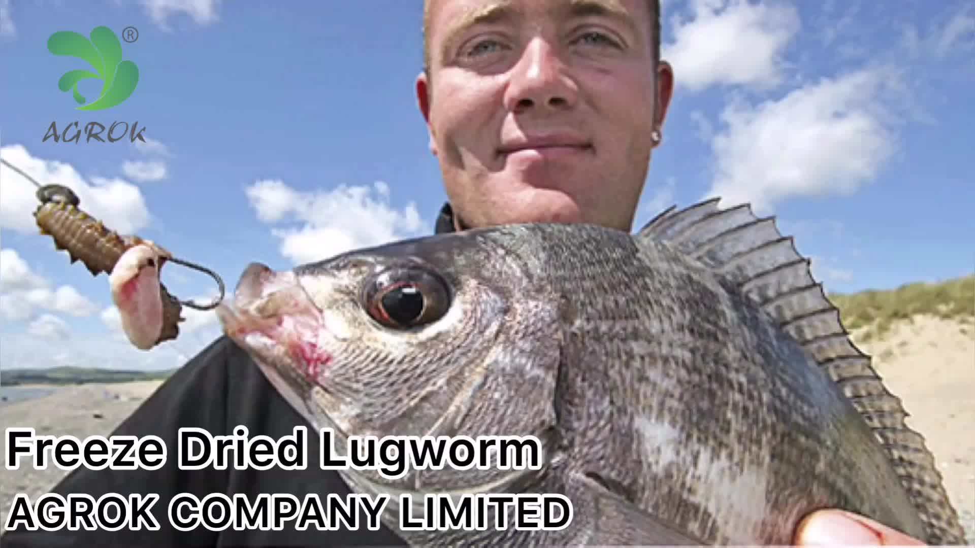 High Quality Fresh Living Fishing Bait Red Lugworm Fishing Lure Buy