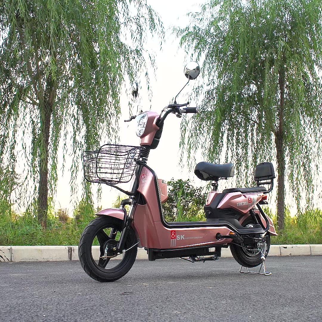 China High Power Permanent Brushless 48 V Bicycle Electric Motor