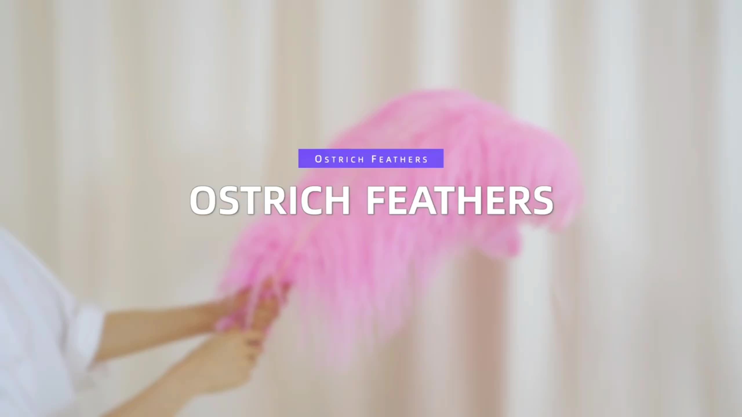 4550 Cm Large Plumes Bulk Ostrich Wing Feather Decorative White