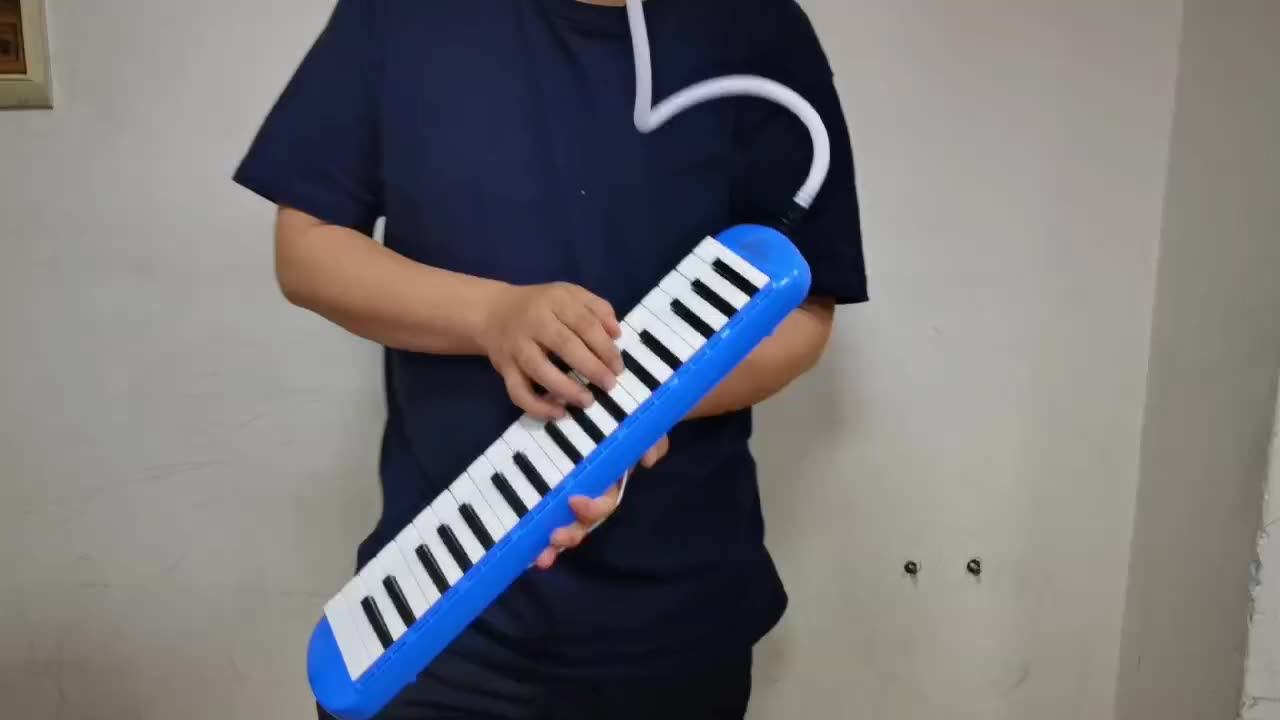 Blue Melodica Cheap Price Easy Learn School Musical Instrument Melodica