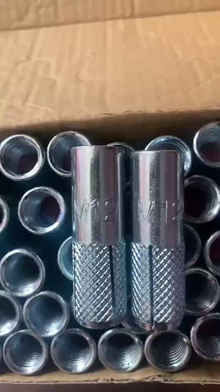 Drop In Anchor Threaded Fastener Expansion Concrete Bolts Sleeve Nuts