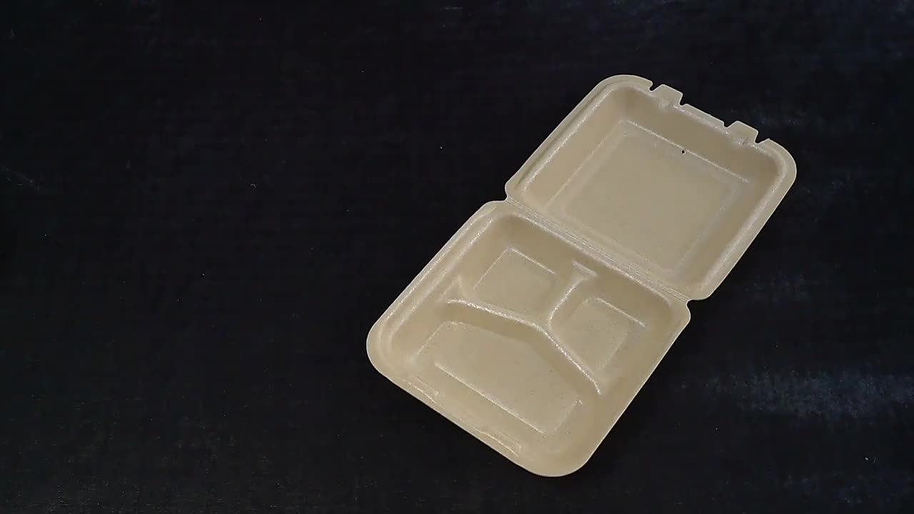 Ps Pla Bagasse Disposable Buffet Presentation Plastic Food Tray For ...