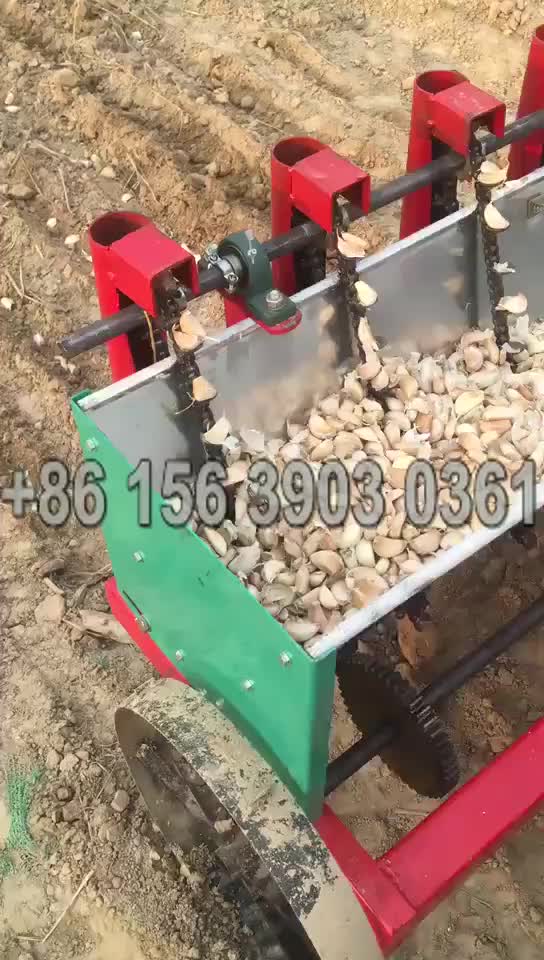 Garlic Farming Equipment Garlic Seeds Planting Machine Garlic Planter