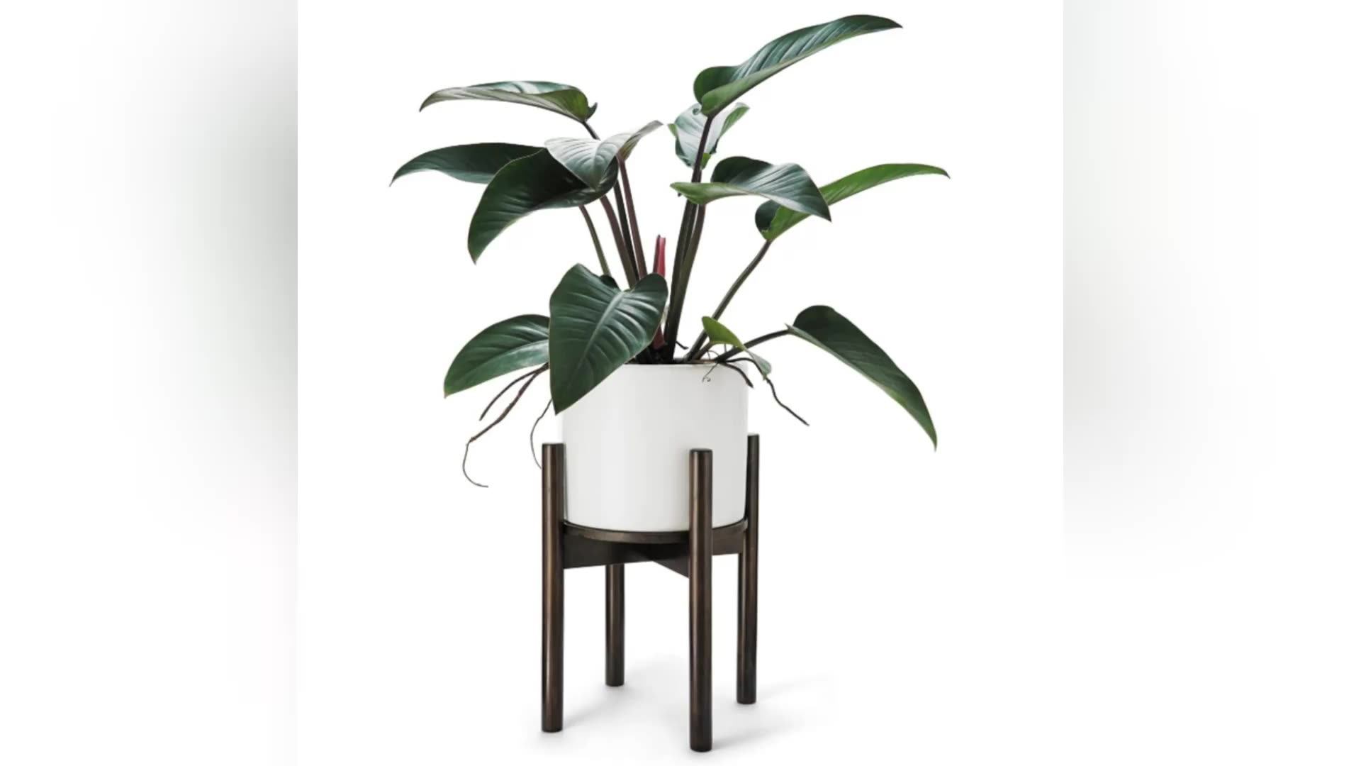 Wood Plant Stand Mid Century Planter Stand With Plant Saucer Wood