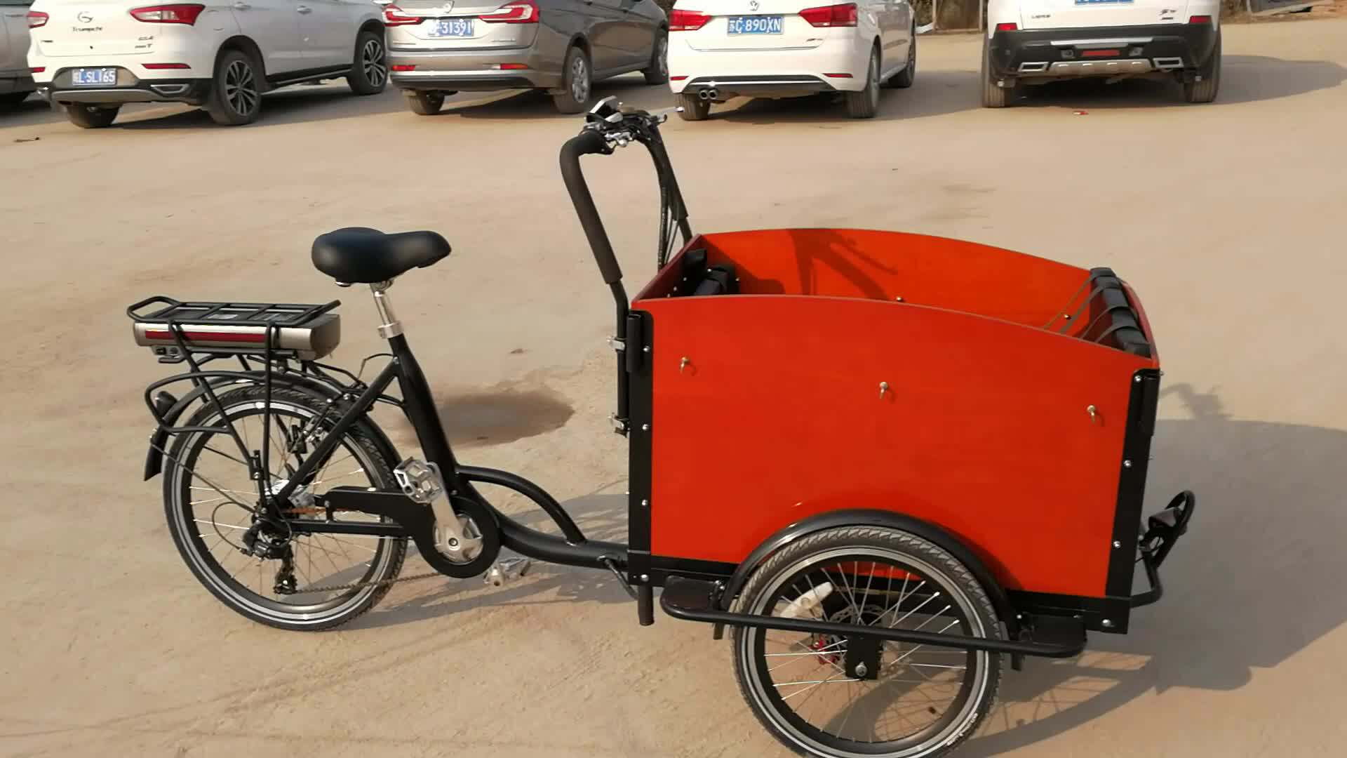 3 Wheel Electric Cargo Tricycle Carry Goods Family Use Bikes For Kids