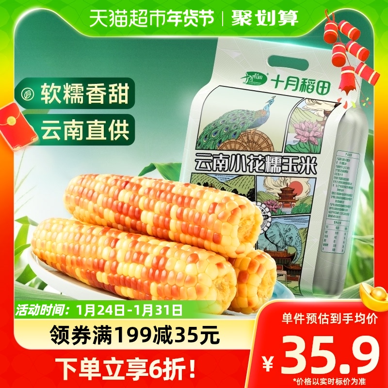 October Inada Yunnan small flower glutinous corn 1 5kg corn stick rice cereal vacuum loaded with sweet glutinous corn-Taobao