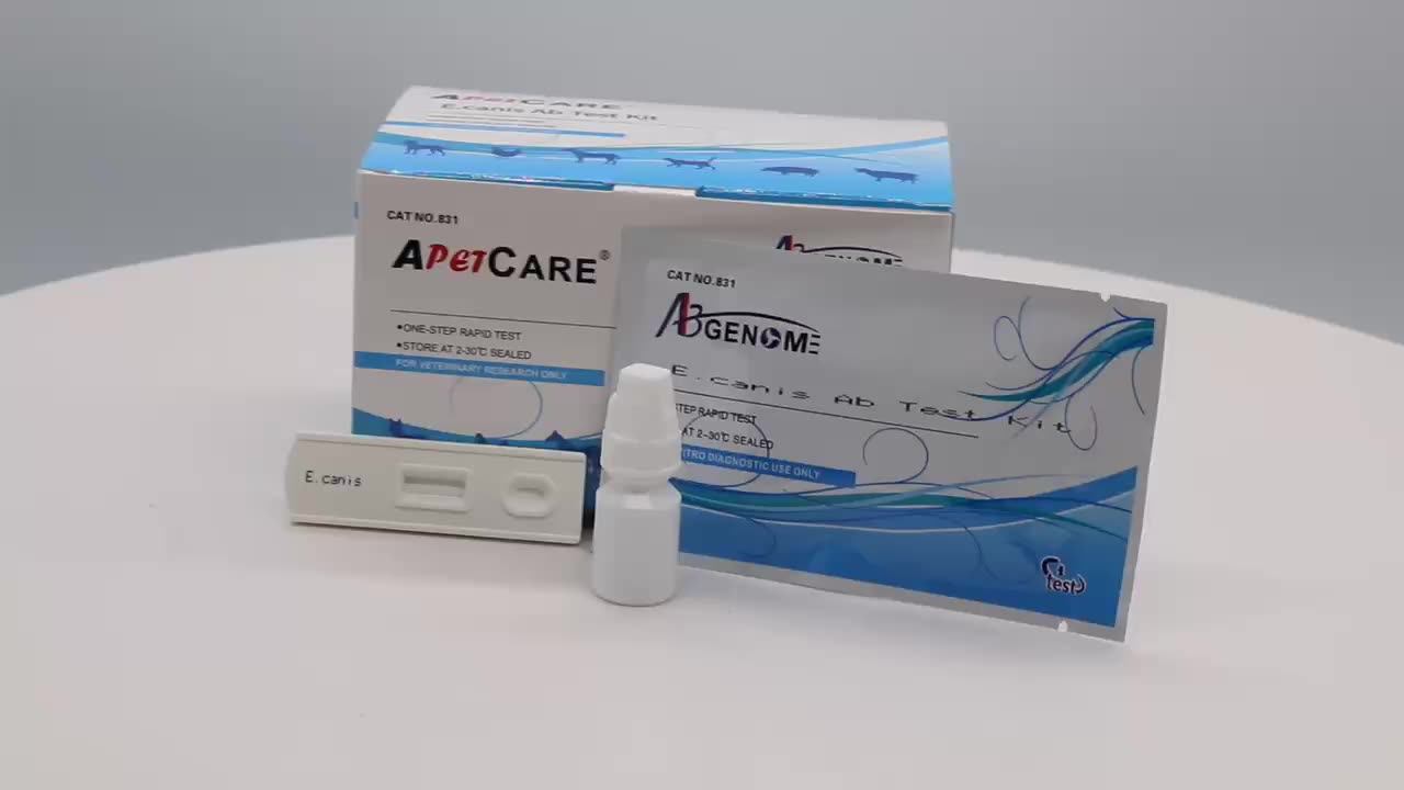 High Quality Of Cat Dog Leptospira Diagnosis & Injection Rapid Antibody