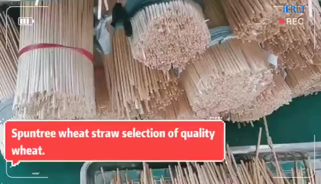 Wheat Straw Biodegradable Recycled Disposable Natural Hay Wheat Straw