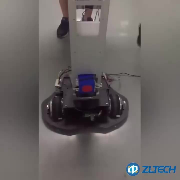 Zltech Electric Hub Motor Kit For Europe Builtin 1024 Encoder 24v Hub