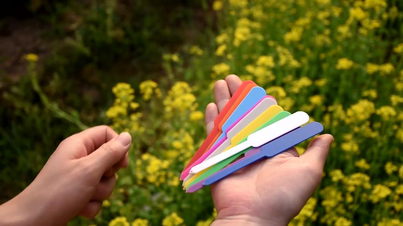 Etichette Per Piante Su Lavagna, Etichette Per Piante - Foto 10