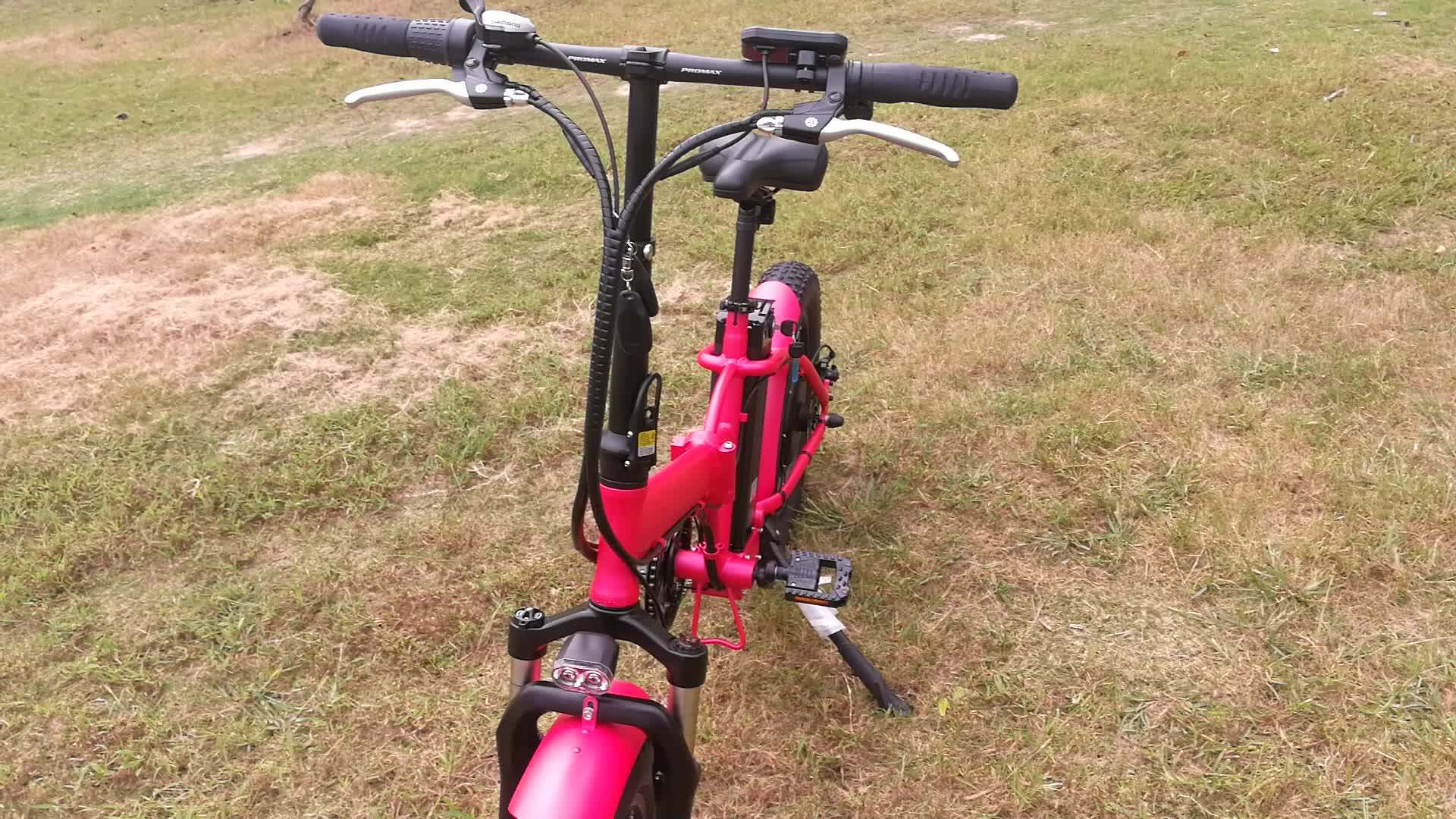 fat tyre folding electric bike