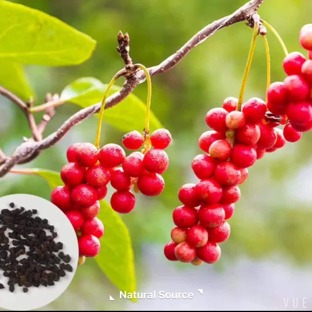 Treat A Cold Chinese Herbal Medicine Indigofera Pseudotinctoria Seeds