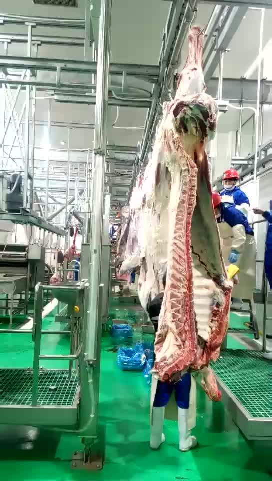 Modular Slaughterhouse For Cattle Beef Slaughtering Machine Buy