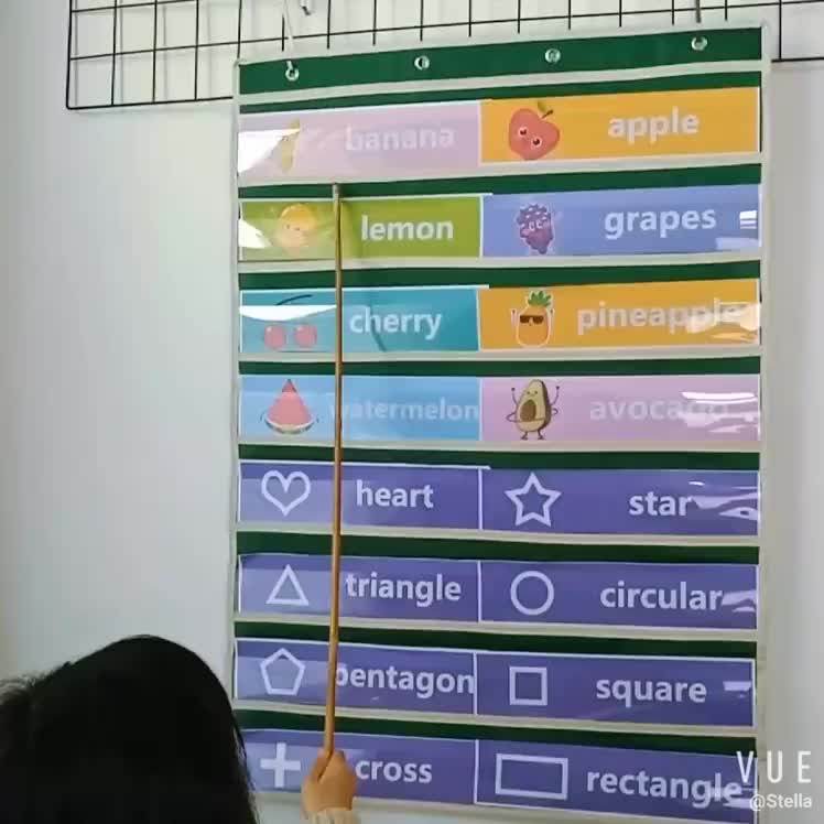 Custom Educational Wall Charts Standard Size Children Learning Pocket