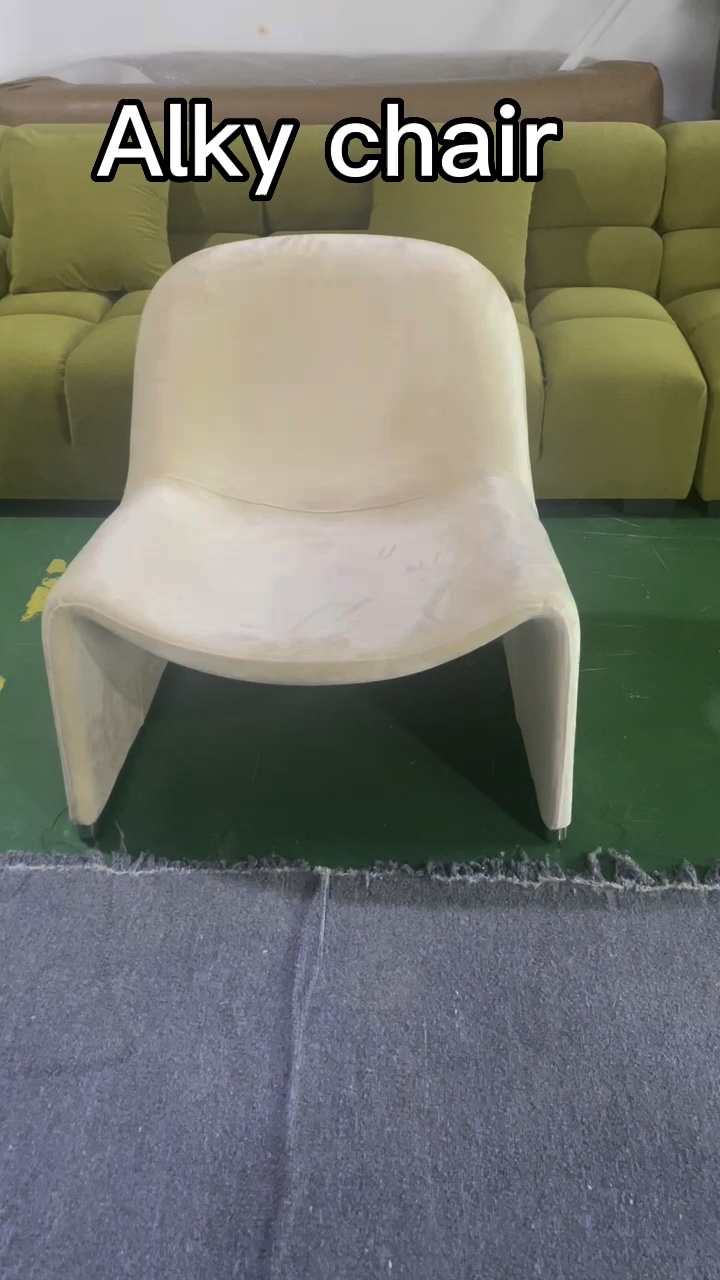 New Modern Hot Selling Living Room Leisure Chair Alky Chair Minuscule